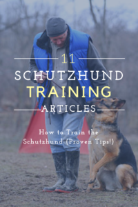 11 ARTICLES Schutzhund Training