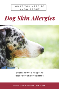 Dog Skin Allergies