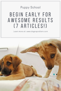 Puppy School - 4Begin Early for Awesome Results (7 Articles!)
