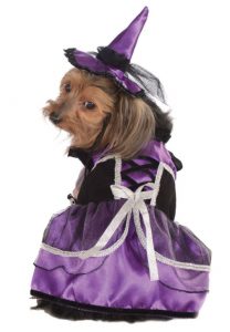 Purple Witch Dog Costume