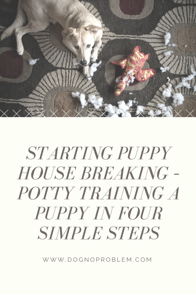 Starting Puppy House Breaking – Potty Training A Puppy In Four Simple Steps
