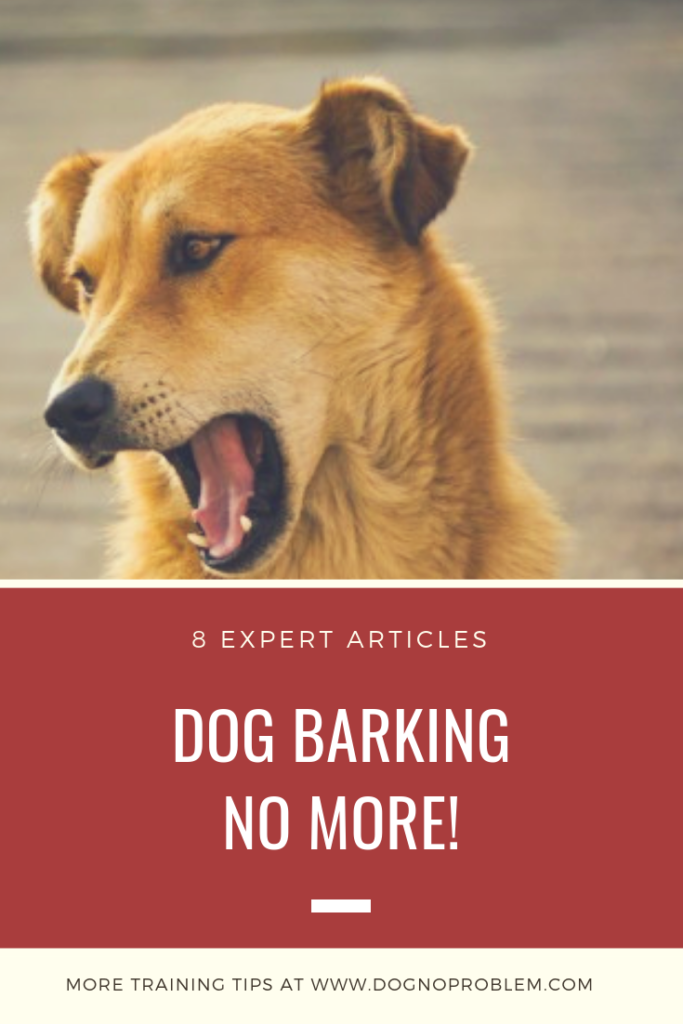 Stop Dog Barking