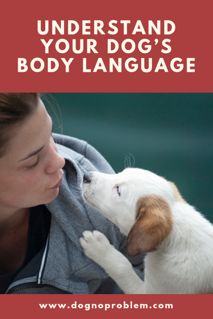 Dog’s Body Language