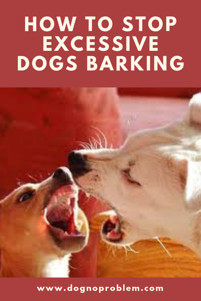 dog barking