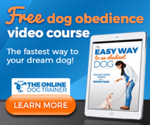 Puppy Obedience Training: All the Techniques You Need at Your Fingertips (8 Outstanding Articles!) 1