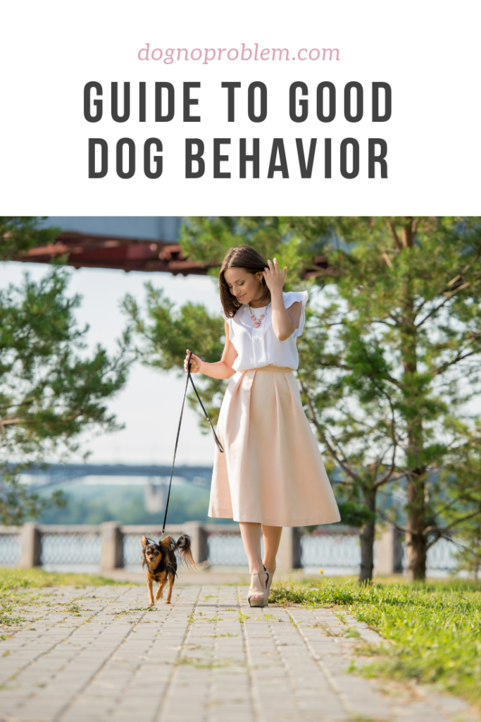 good dog behavior