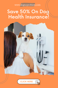 save on dog health insurance